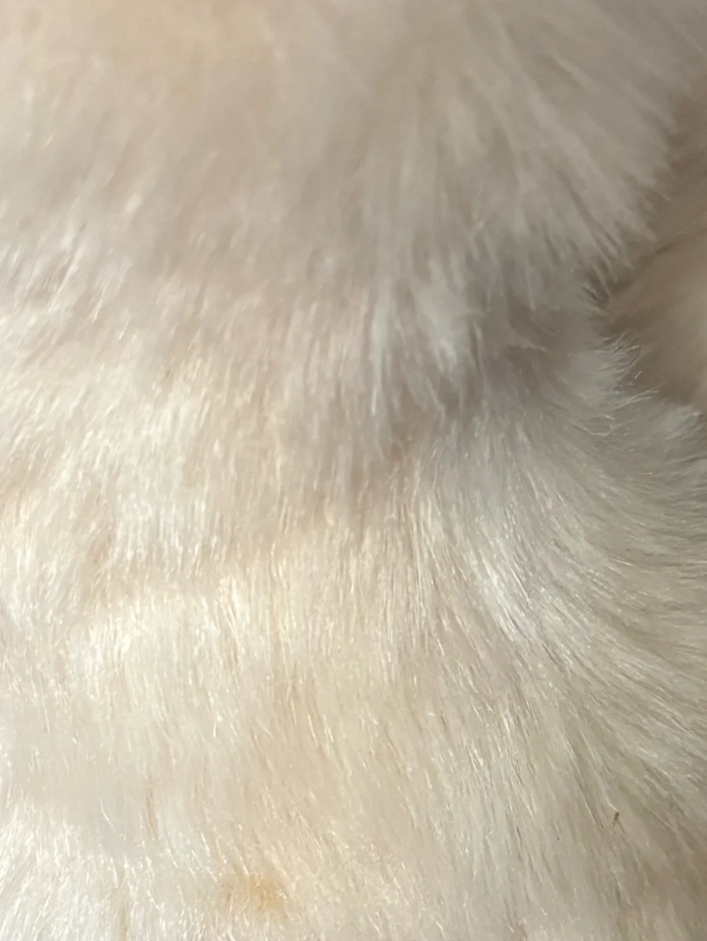 N/A soft cream